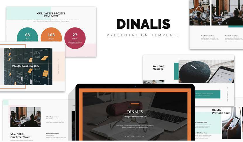 Dinalis Startup Business Plan Powerpoint PowerPoint Design Ideas